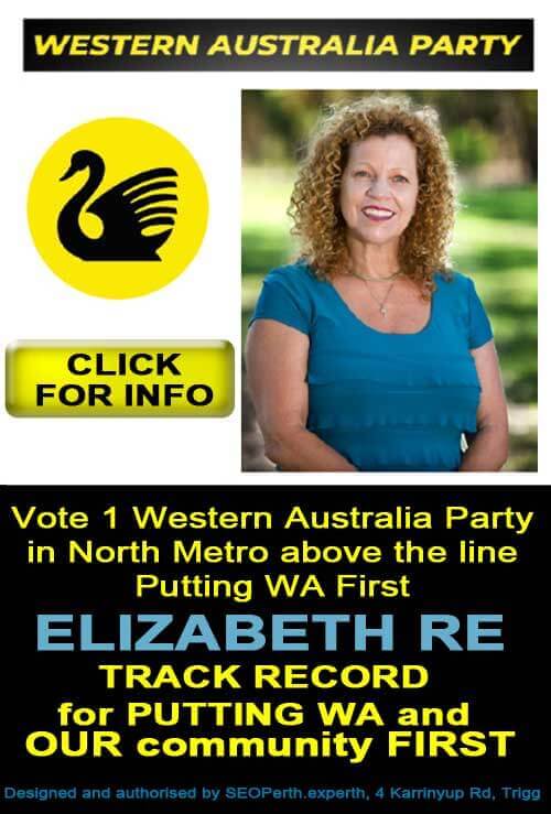 North metro 2021 WA election